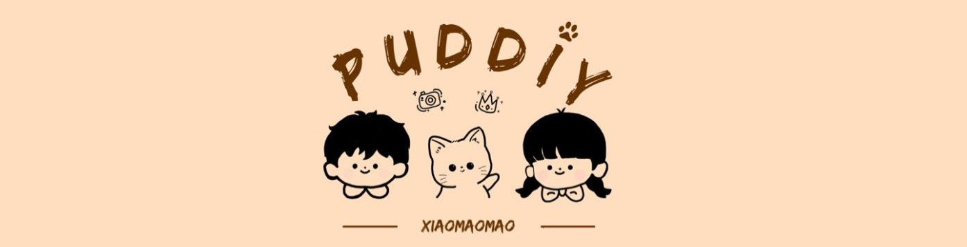 Puddiy'